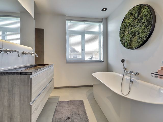 Foto van Zilverkarper 4