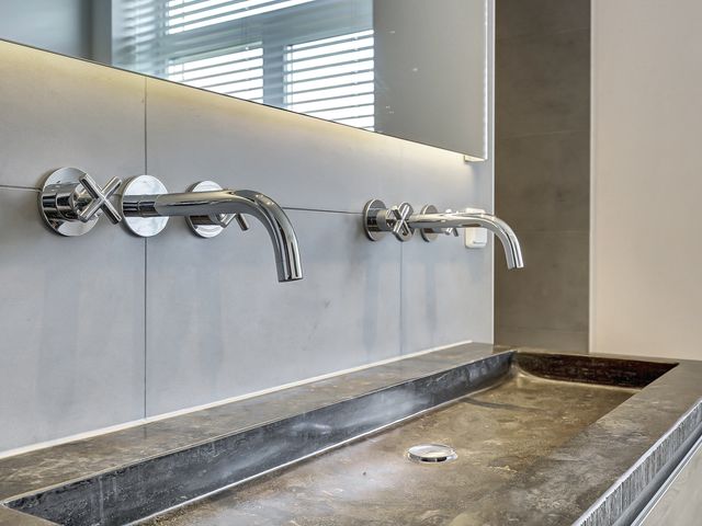 Foto van Zilverkarper 4