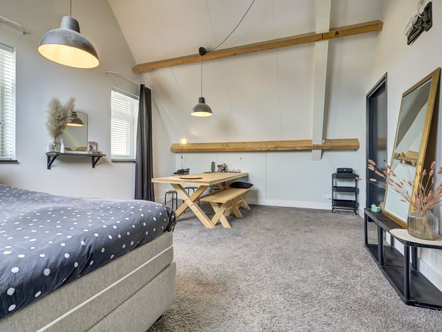 Foto van Zilverkarper 4