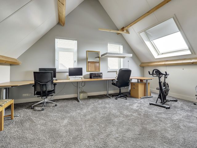 Foto van Zilverkarper 4