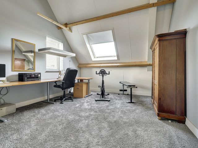 Foto van Zilverkarper 4