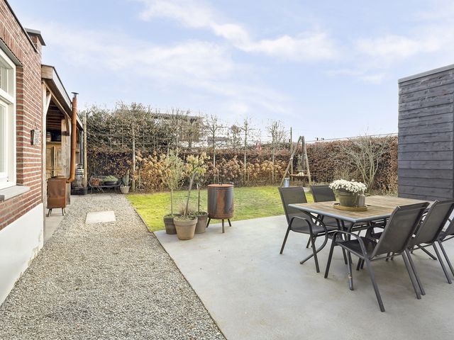 Foto van Zilverkarper 4