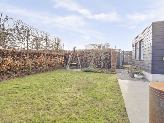 Foto van Zilverkarper 4