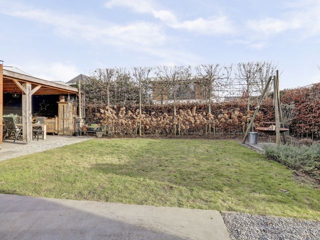 Foto van Zilverkarper 4