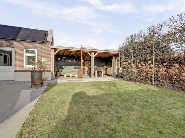 Foto van Zilverkarper 4