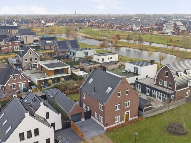 Foto van Zilverkarper 4