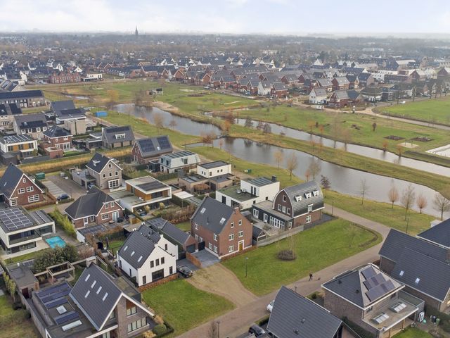 Foto van Zilverkarper 4