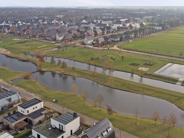 Foto van Zilverkarper 4