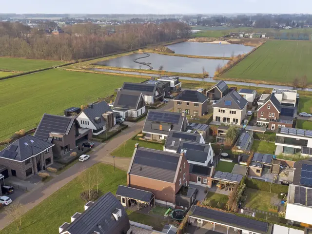 Foto van Zilverkarper 4