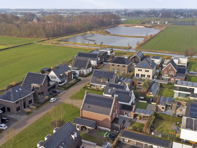 Foto van Zilverkarper 4