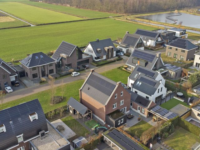 Foto van Zilverkarper 4