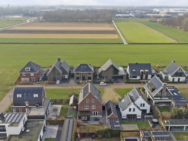 Foto van Zilverkarper 4