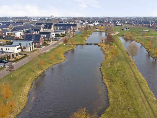 Foto van Zilverkarper 4