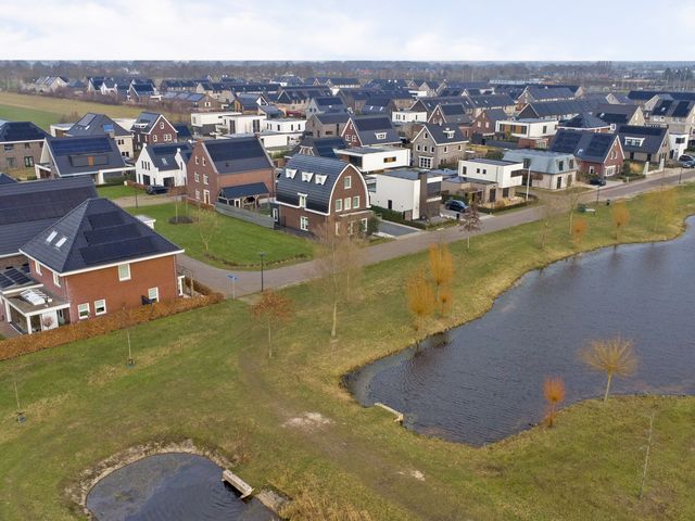 Foto van Zilverkarper 4