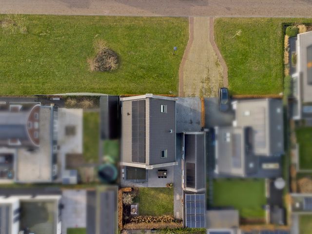 Foto van Zilverkarper 4