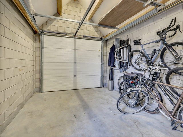 Foto van Zilverkarper 4