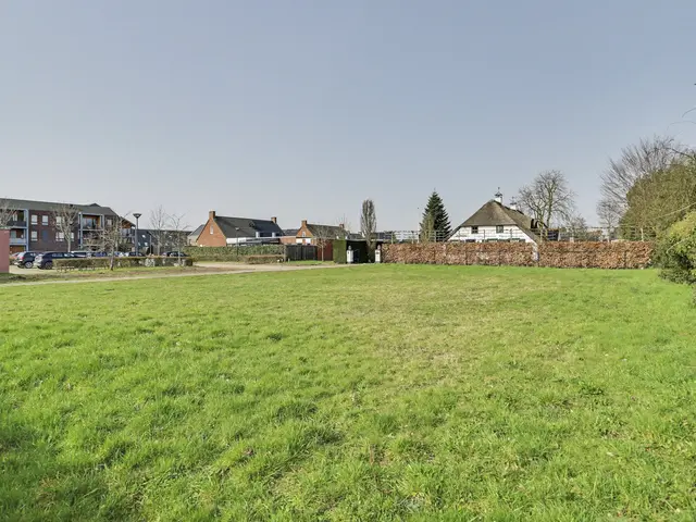 Foto van Lieveheersbeestje 