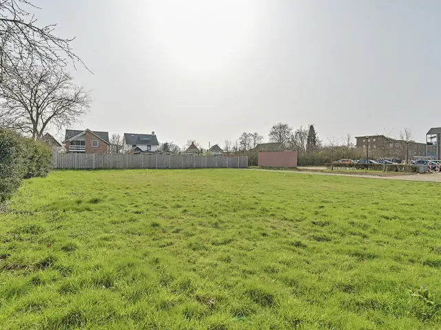 Foto van Lieveheersbeestje 