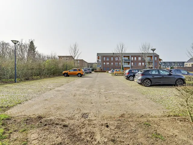 Foto van Lieveheersbeestje 