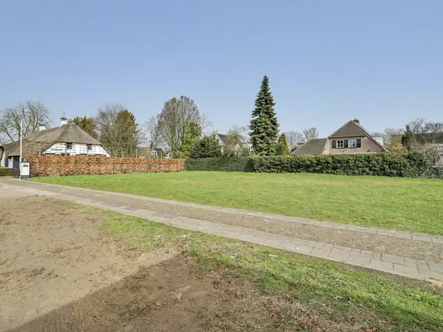 Foto van Lieveheersbeestje 