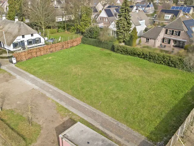 Foto van Lieveheersbeestje 
