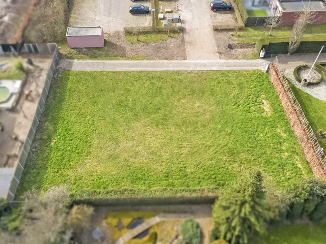 Foto van Lieveheersbeestje 