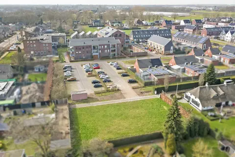 Lieveheersbeestje 