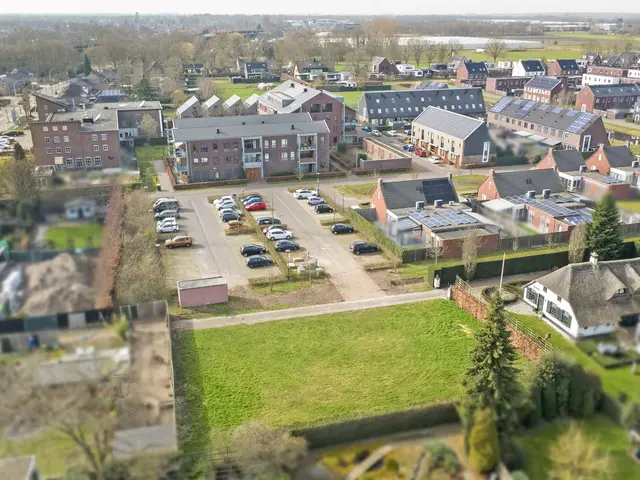 Foto van Lieveheersbeestje 