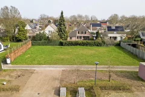 Lieveheersbeestje 