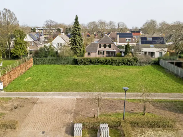 Foto van Lieveheersbeestje 