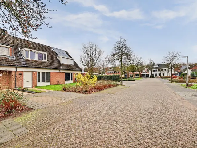 Foto van Schaepmanlaan 31
