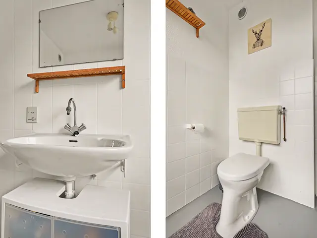 Foto van Schaepmanlaan 31