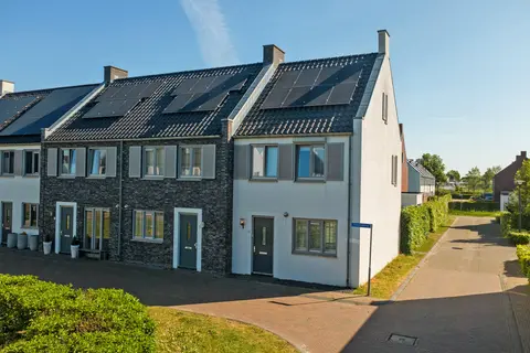 Dagpauwoog 2