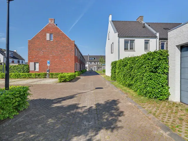Foto van Dagpauwoog 2