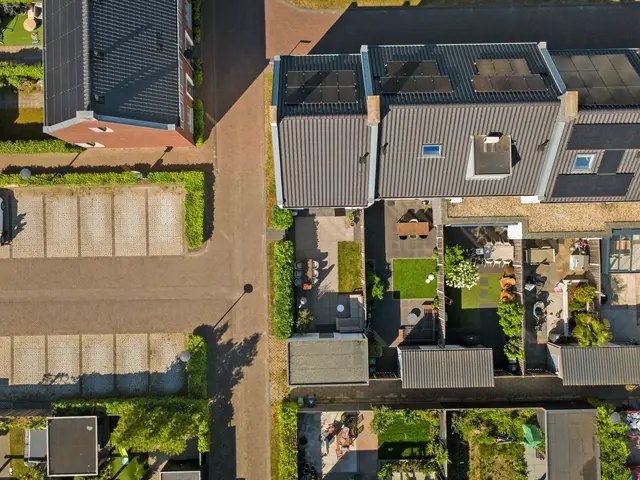 Foto van Dagpauwoog 2