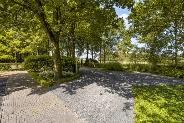 Eendekooi 14