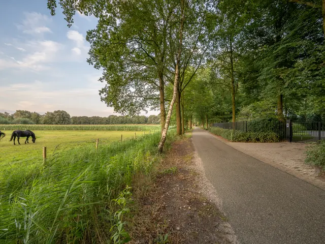 Foto van Eendekooi 14