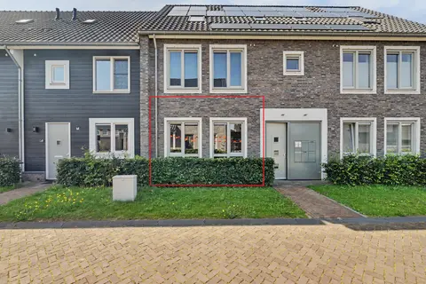 Aardbei 16