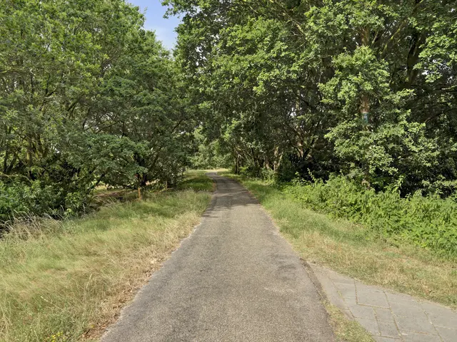 Foto van Jacques Perklaan 25