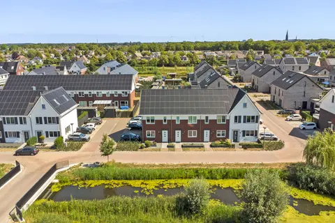 Rozemarijn 14