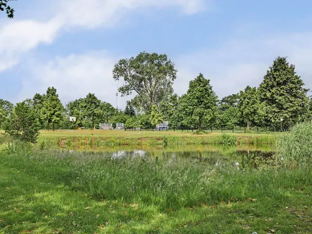 Foto van Costerlaan 1