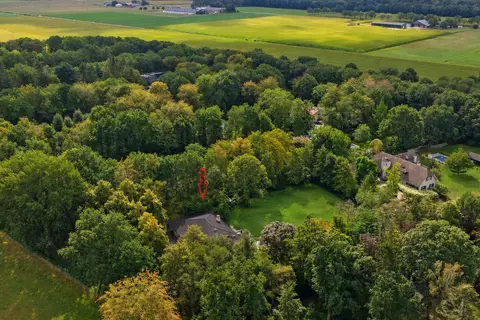 Eendekooi 11