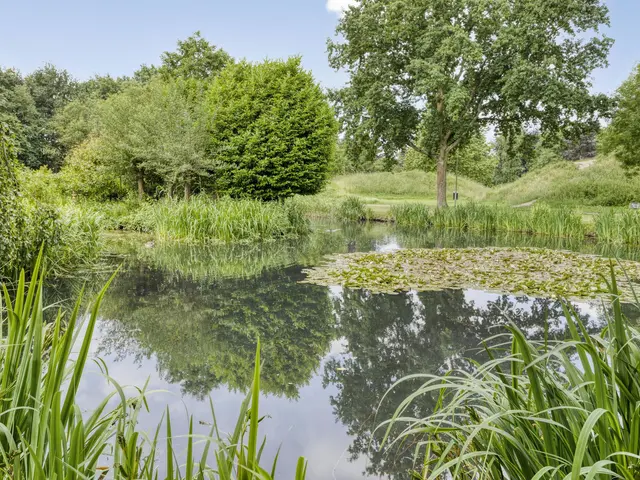 Foto van Mozartlaan 43
