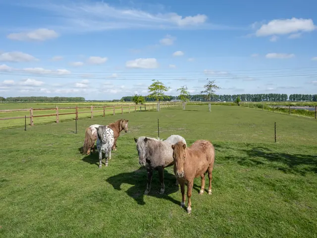 Foto van De Hoeven 60E
