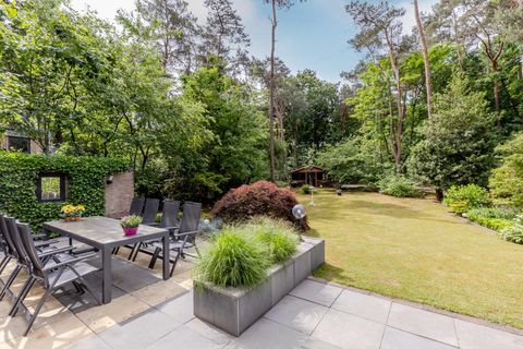 Hoge Schijf 15