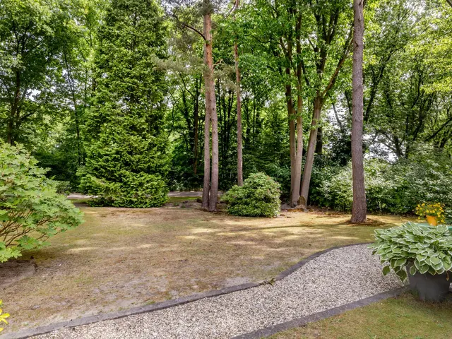 Foto van Hoge Schijf 15