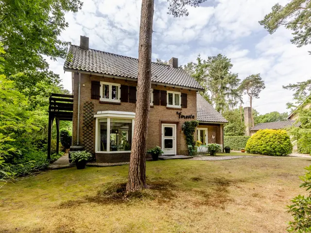 Foto van Hoge Schijf 15