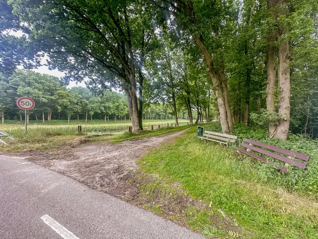 Foto van Hoge Schijf 15