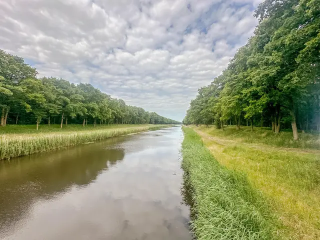 Foto van Hoge Schijf 15