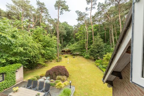 Hoge Schijf 15